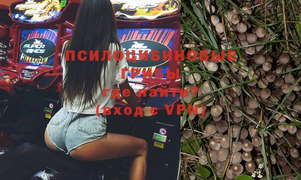 стафф Гусь-Хрустальный