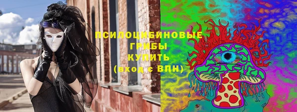 стафф Гусь-Хрустальный